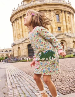 Ida Sweatshirt Appliqué Dress-Multi Meadow Floral Dinosaurs-Boden Fashion